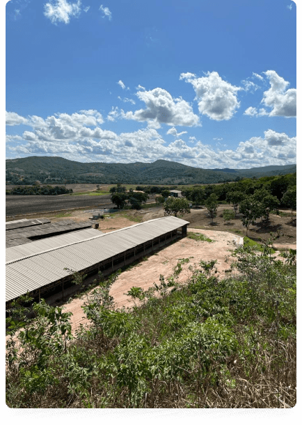 Vista aérea da Granja Pena Real